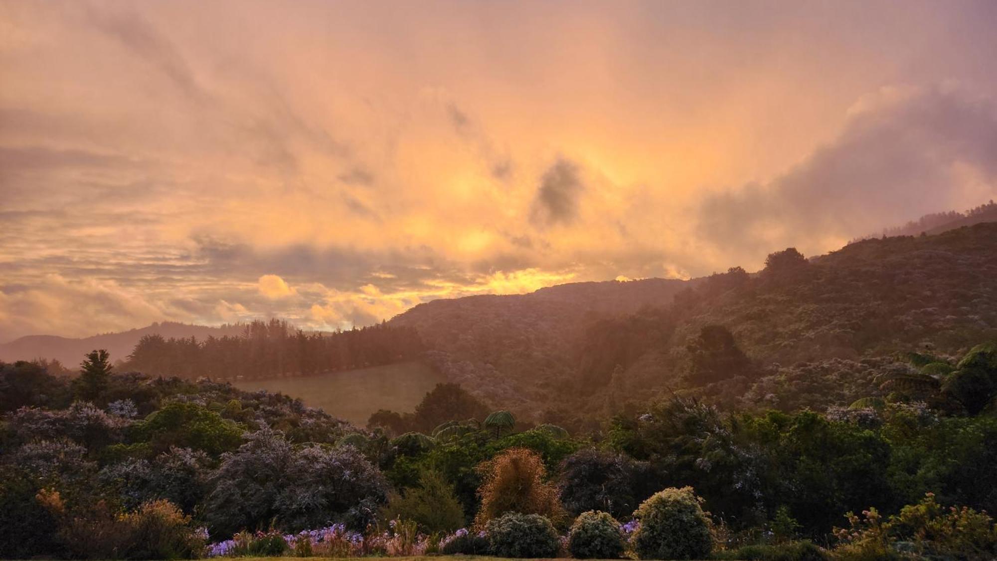 ホテル Boutique Art Retreat アッパー・ハット エクステリア 写真
